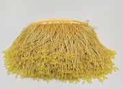 1000000843-1000×730