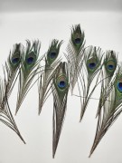 1000004798-1000×1333