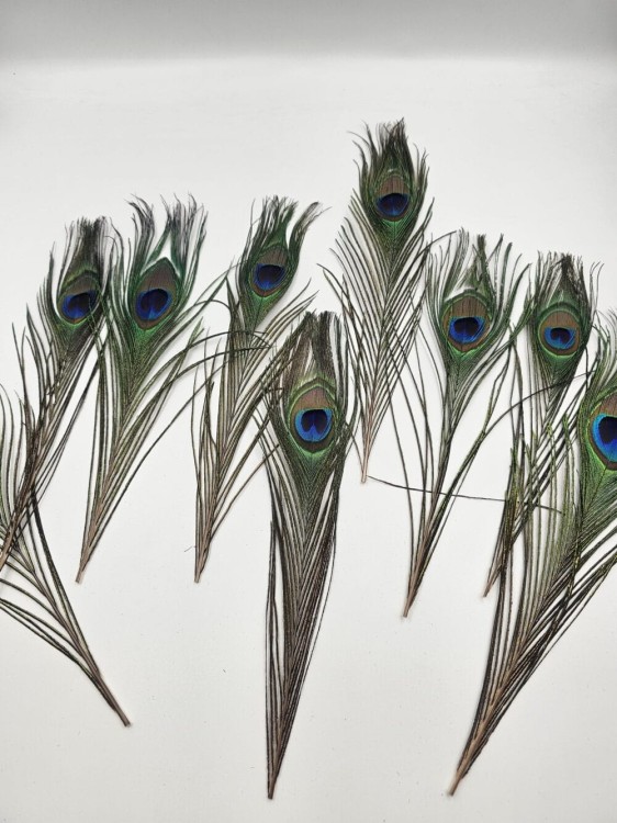 1000004798-1000×1333