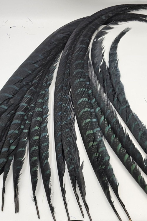 1000000922-1000×1501