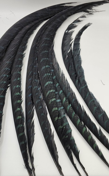 1000000924-1000×1615